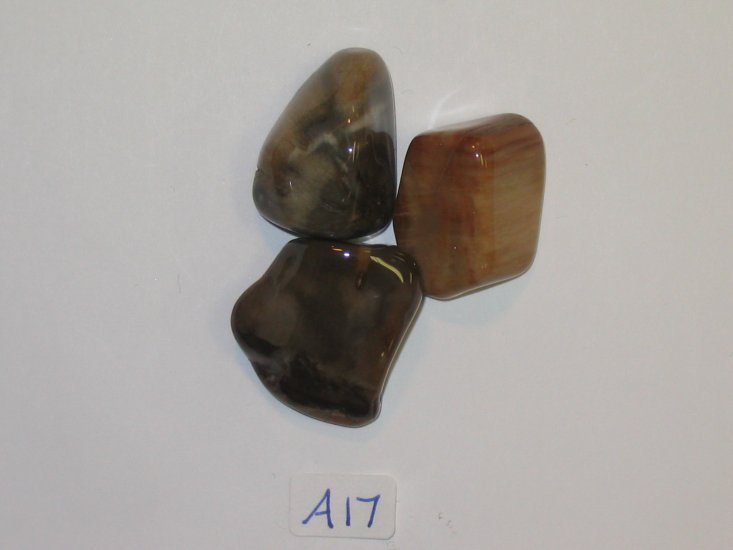 Petrified Wood Each - Click Image to Close